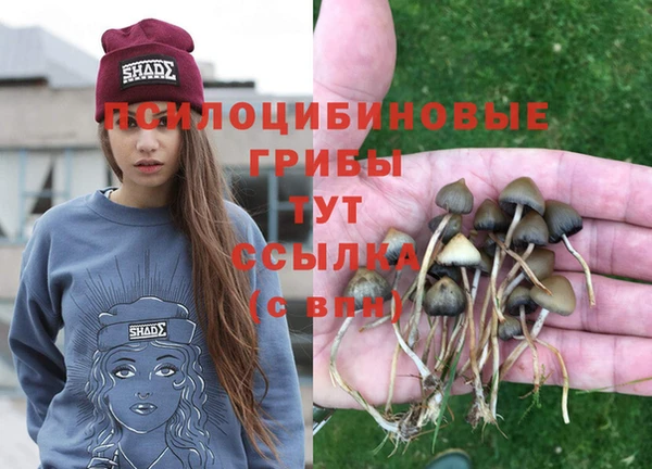 не бодяженный Абинск