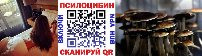 что такое наркотик Горячеводский Галлюциногенные грибы Magic Shrooms